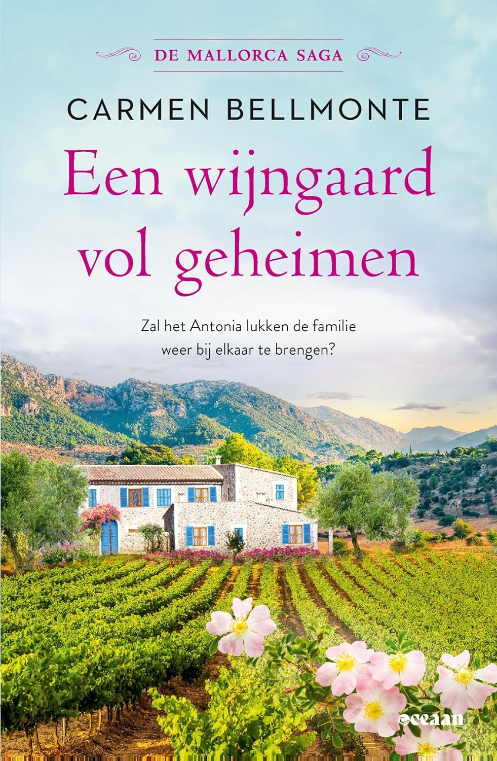 Een wijngaard vol geheimen