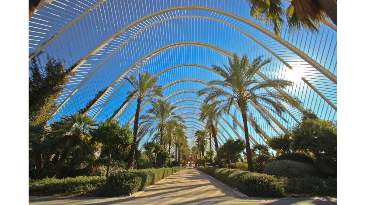 Valencia © Brainduction via Pexels